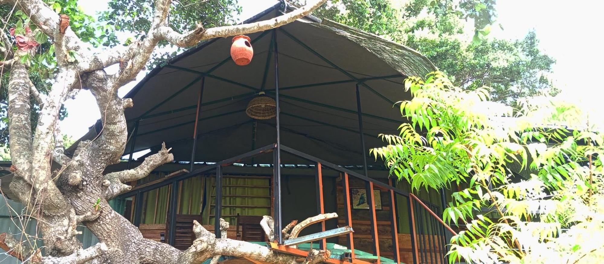 Jungle Cabin - Bundala Bundala Levagamgoda Bagian luar foto